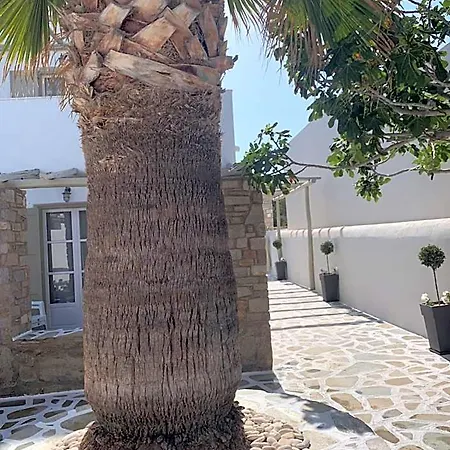 Sea & Sun Paros *